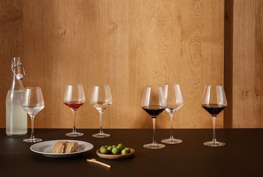 Eva Solo Set of Glasses for White and Red Wine made of Glass 450ml 6pcs