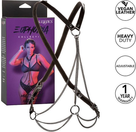 Calexotics Harness Πολύχρωμο