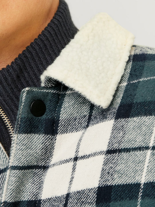 Langärmeliges Baumwoll-Overshirt in Breite Linie Karomuster Grün