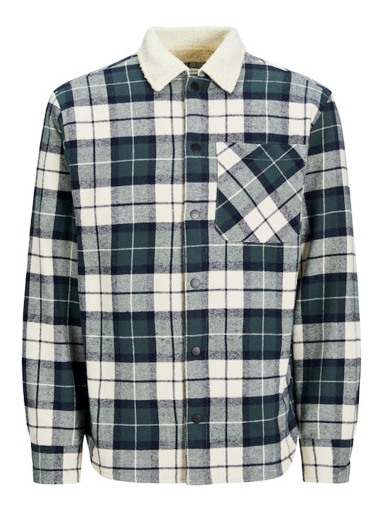 Langärmeliges Baumwoll-Overshirt in Breite Linie Karomuster Grün