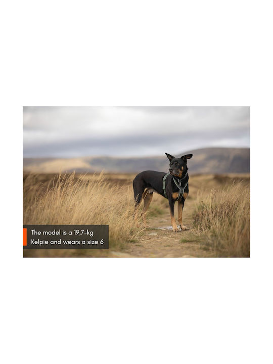 Non-stop Dogwear Line Ham Pentru Câini 5.0 No7 Negru 61-92cm Non-stop Dogwear Line Ham Pentru Câini 5.0 No7 Negru 61-92cm