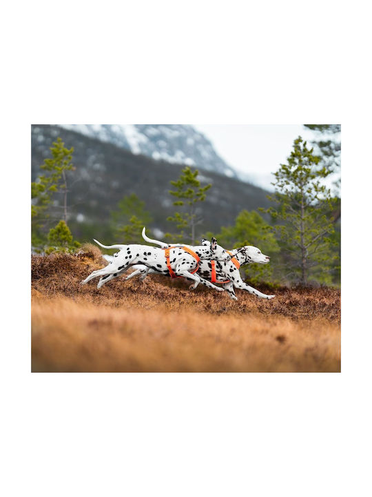 Non-stop dogwear Нагръдник за куче Черен lineol4