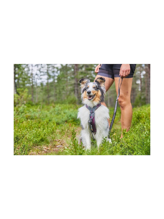 Non-stop dogwear Σαμαράκι Σκύλου Line Harness 5.0, No3 Πορτοκαλί 39-62cm lineor3