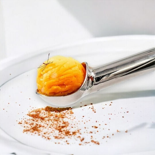 Pintinox Spoon Ice Cream made of Stainless Steel 6cm