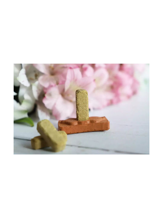 Natural Incense Bricks Palo Santo Green Tree Palo Santo Smudge Bricks