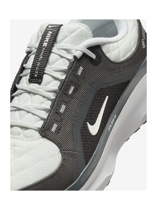 Winflo 11 GTX Men's Sport Shoes Running Waterproof with Gore-Tex Membrane Anthracite / Black / Photon Dust / Metallic Silver