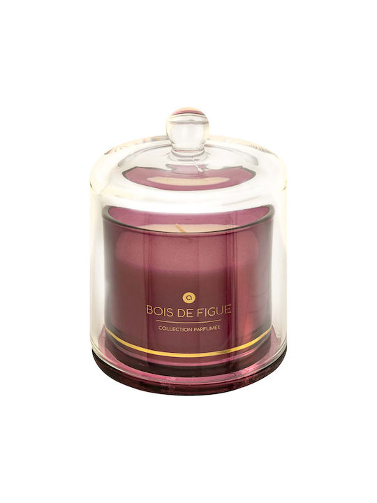 Scented Candle 240g Φ10.8x13.8 A-s Ilae Figue 204723c Φ10.8x13.8