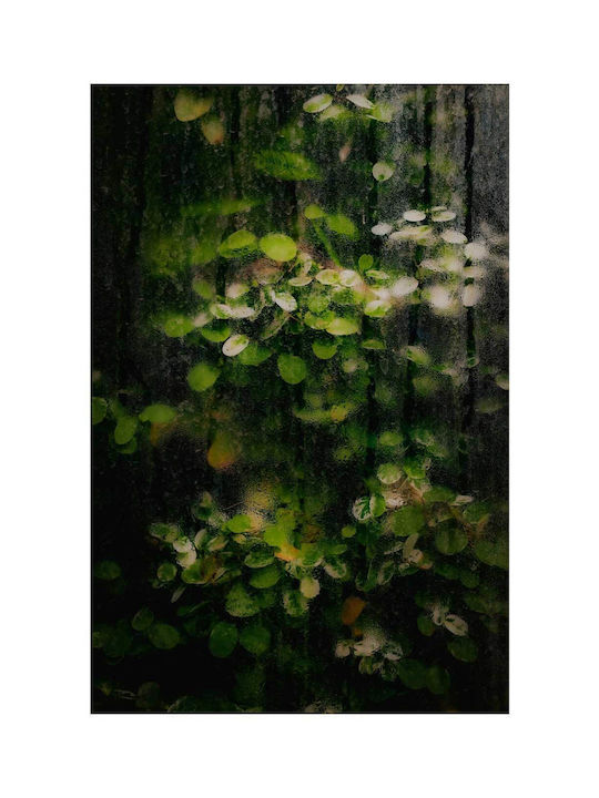Frunze Udate de Rouă Pictură pe Sticlă 80x120
