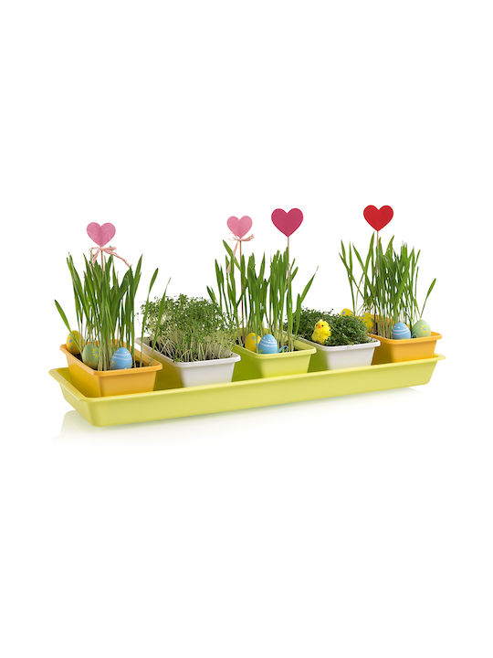 Hydrostab Minigarden Planter Set 2L Water 3.9L Soil 60x20x9cm Yellow-Orange Hydrostab Minigarden Planter Set 2L Water 3.9L Soil 60x20x9cm Yellow-Orange