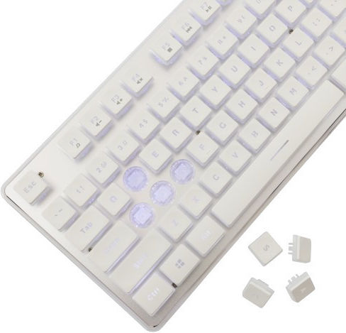 White Shark Tachi Gaming Keyboard with Illuminated keys (English US) Silver / White