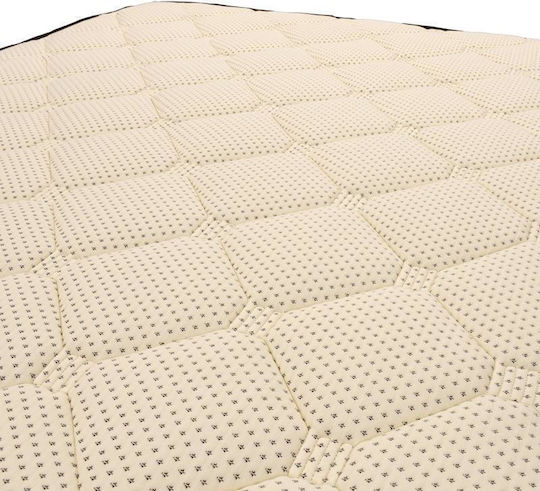 Fylliana Luxury Semi-double Anatomic Saltea 110x200x30cm