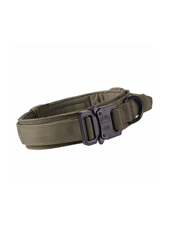 Ошийник за куче в Зелен цвят Medium / Large