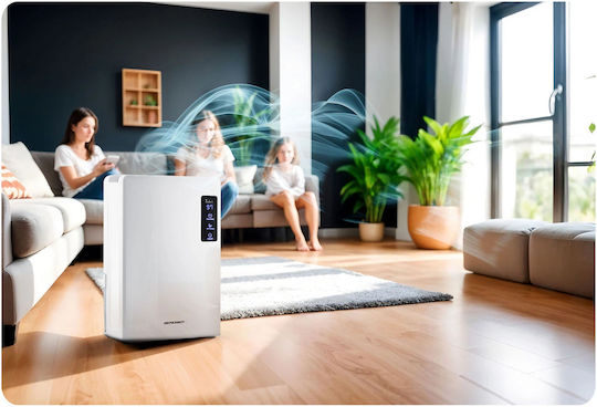 Berdsen BR-22A Termoelectric (Peltier) Dezumidificator 0.7lt