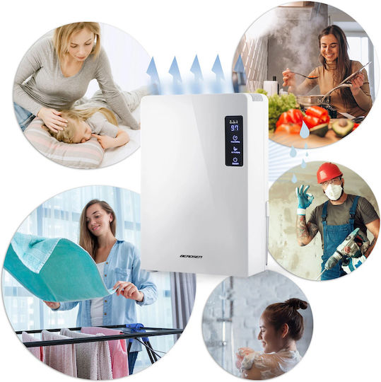 Berdsen BR-22A Termoelectric (Peltier) Dezumidificator 0.7lt