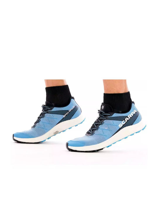 Scarpa Spin Running Azure / White