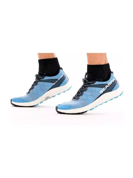 Scarpa