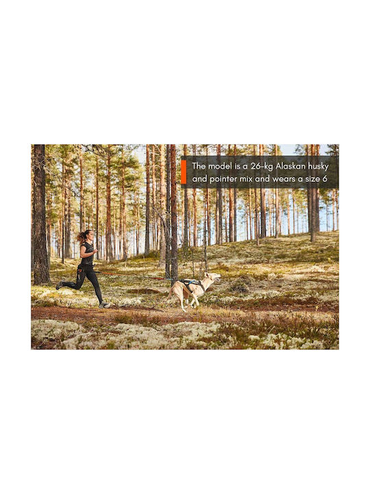 Non-stop dogwear Σαμαράκι Σκύλου Freemotion Harness No7 (Άνοιγμα Λαιμού 54 cm) Μαύρο free7