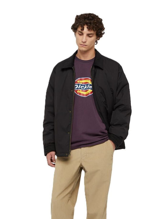 Dickies T-shirt Plum Perfect