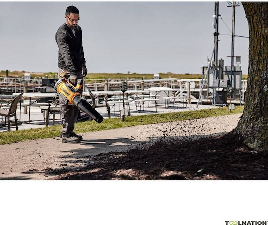 DEWALT Laubbläser Handheld 54V mit 1 Akku 9Ah & Lautstärkeregelung mit Maximaler Luftgeschwindigkeit 258km/h