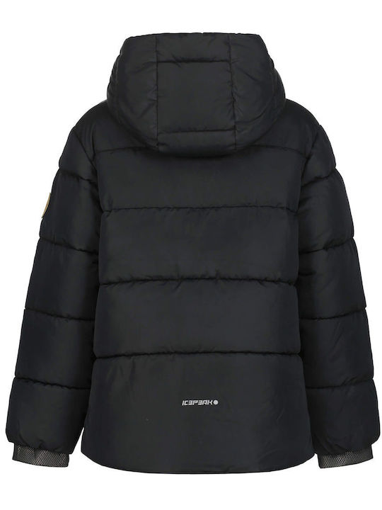 Icepeak Icepeak