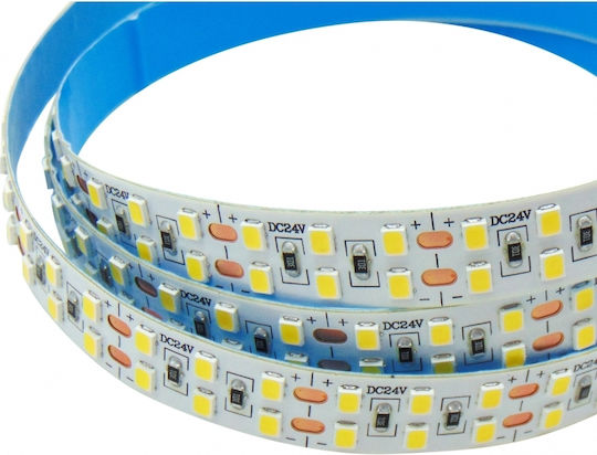 Wellmax LED Strip 24V 5m Type SMD2835