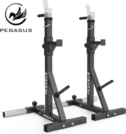 Pegasus Barbell Rack for Weight Plates