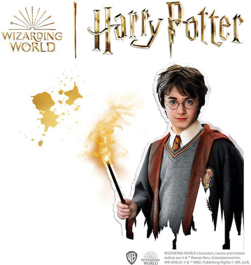 Diamond Painting Set Harry Potter