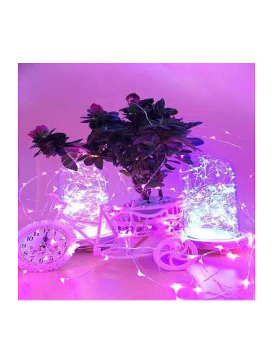 50 Λαμπάκια LED 5μ. Ροζ Μπαταρίας σε Σειρά