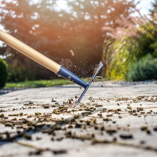 Kadax Gap Cleaner Brush Paving Stones