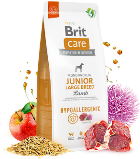Brit Care Junior Large Breed Hypoallergenic 12kg Dry Food Gluten-Free for Large Breed Puppies with Lamb
