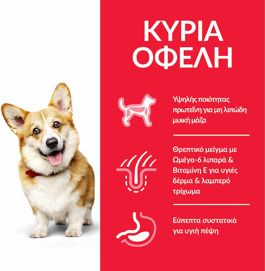 Hill's Science Plan Adult Small & Mini 1.5kg Dry Food Gluten-Free for Adult Dogs with Chicken