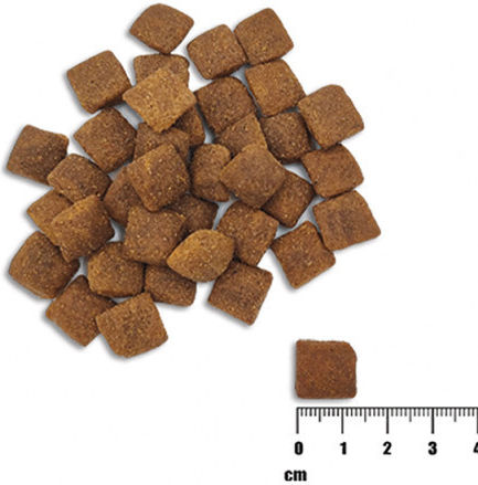 Raw Paleo Raw Paleo Healthy Grain 10kg Dry Food for Adult Dogs with Lamb, Meat and Poultry