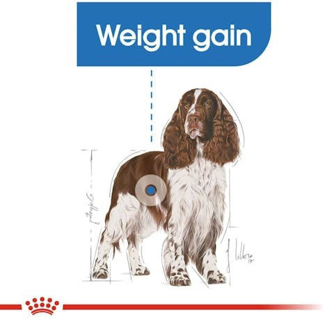 Royal Canin Medium Light Weight Care 12kg Dry Food for Medium Breed Dogs Diet with Poultry and Rice