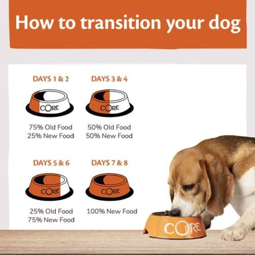 hundefutter gemüse Frisches Hundefutter – Huhn und Gemüse – Just Russel Shop main image 1