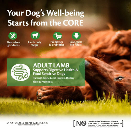 Wellness Core Adult Lamb 10kg Ξηρά Τροφή χωρίς Σιτηρά για Ενήλικους Σκύλους με Αρνί