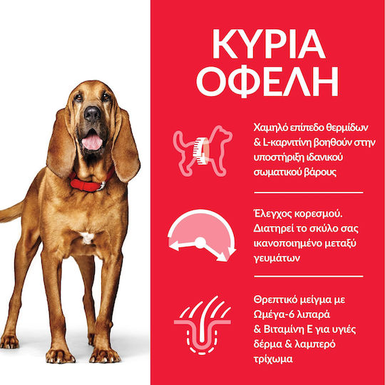Hill's Science Plan Mature Adult Light Medium 14kg Trockenfutter ohne Gluten für ältere Hunde mittlerer Rassen mit Huhn, Rindfleisch und Schweinefleisch