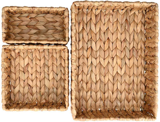 Estia Florana Καλάθι Αποθήκευσης Ψάθινο 36x24x10cm 3τμχ
