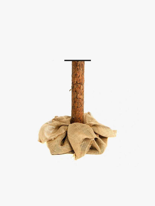 Weihnachtsbaum 118cm Braun