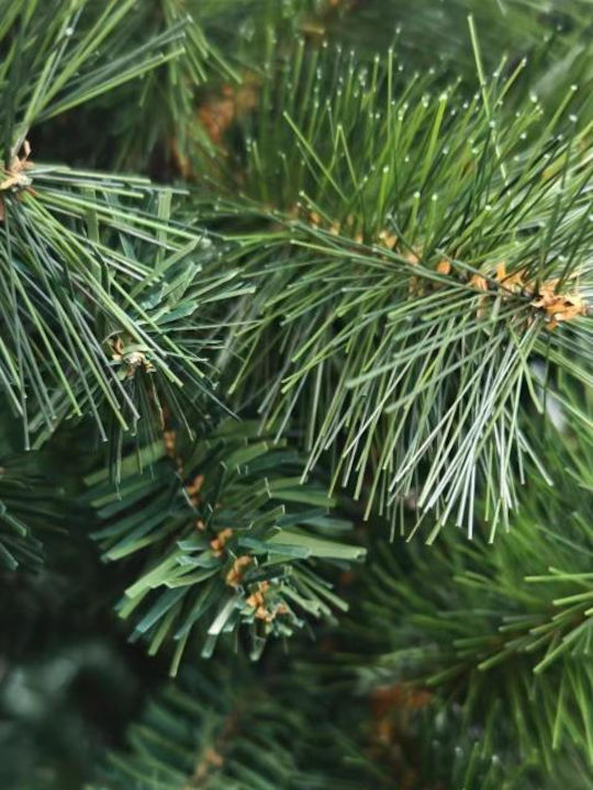 Weihnachtsbaum Pine 210cm