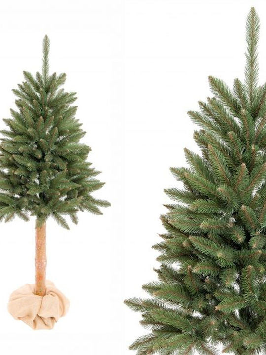 Christmas Tree 160cm in Pot