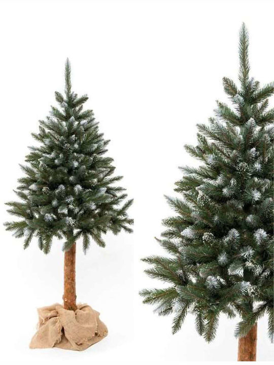 Christmas Tree Snowy 180cm in Pot