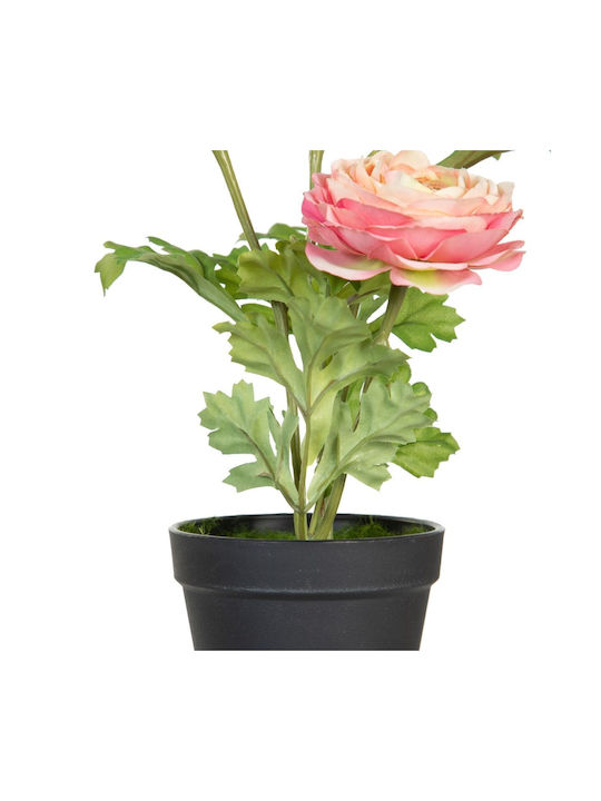 BigBuy Decorative Artificial Plant Black 36cm