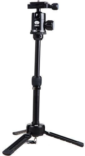 Sirui Case