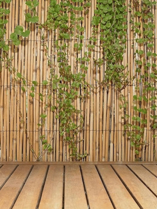 Bamboo Fencing with Whole Reed 1x3m