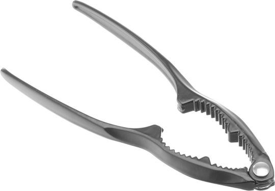 Hendi Seafood Kitchen Shears from Stainless Steel
