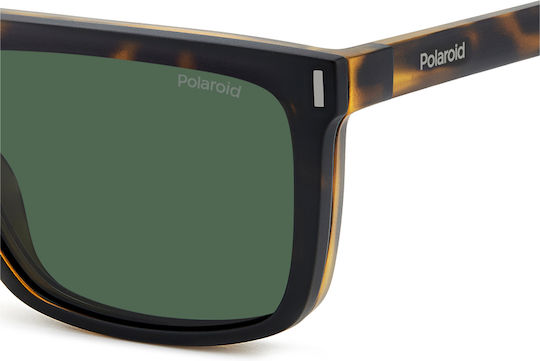 Polaroid Männlich Kunststoff Brillenrahmen Braun Schildpatt PLD6230/CS N9P/UC