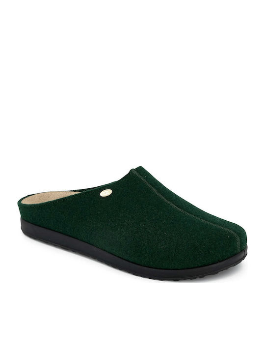 Scholl