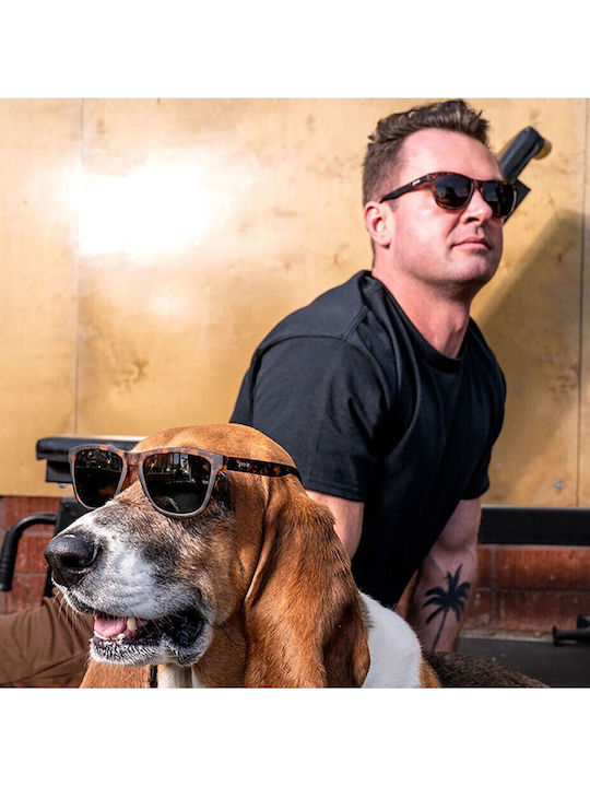 Goodr Bosley's Basset Hound Dreams Unisex Sunglasses with Brown Plastic Frame and Black Lens