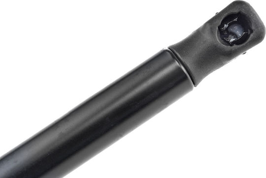 NTY Trunk Shock for Peugeot 206 Volkswagen CC 675068