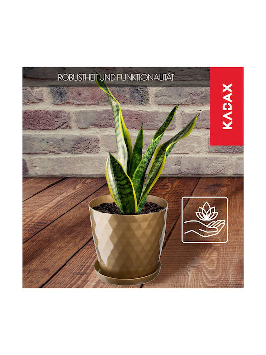 Kadax Plastic Flower Pot Saucer 20cm Gold